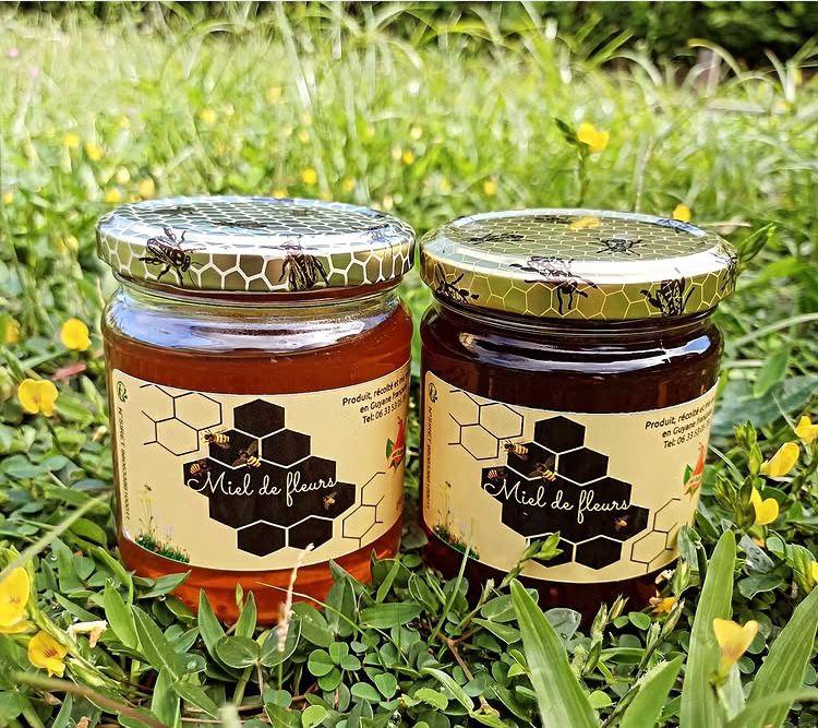 miel guyane Amazonie forêt